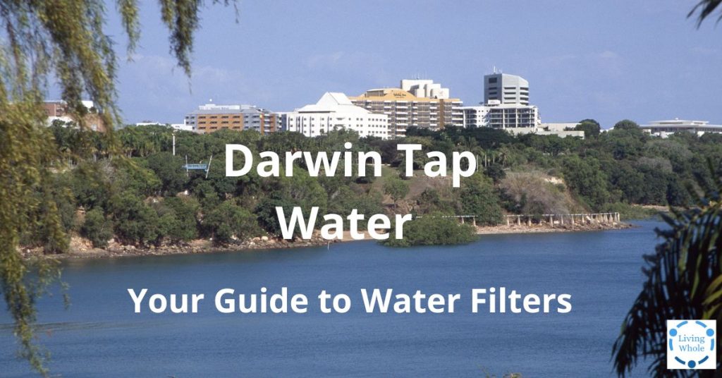 https://lw.code-connect.com.au/wp-content/uploads/sprite-high-output-shower-filter-100x100.png