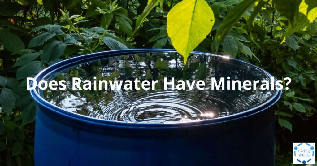 https://lw.code-connect.com.au/wp-content/uploads/sprite-high-output-shower-filter-100x100.png