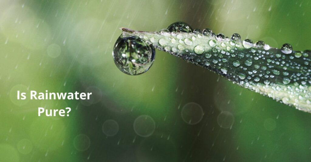 https://lw.code-connect.com.au/wp-content/uploads/sprite-high-output-shower-filter-100x100.png