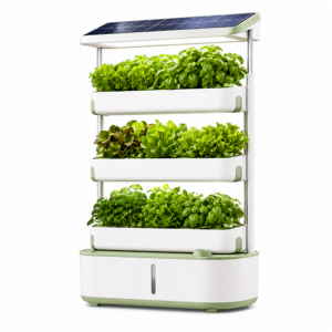 Hydroponic Vertical Garden