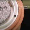 https://lw.code-connect.com.au/wp-content/uploads/sprite-high-output-shower-filter-100x100.png
