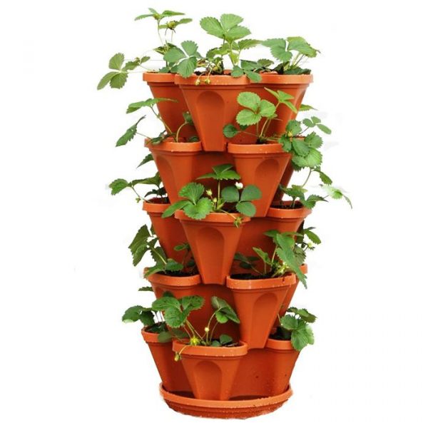https://lw.code-connect.com.au/wp-content/uploads/sprite-high-output-shower-filter-100x100.png